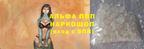 молекула духа Балахна