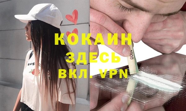 молекула духа Балахна