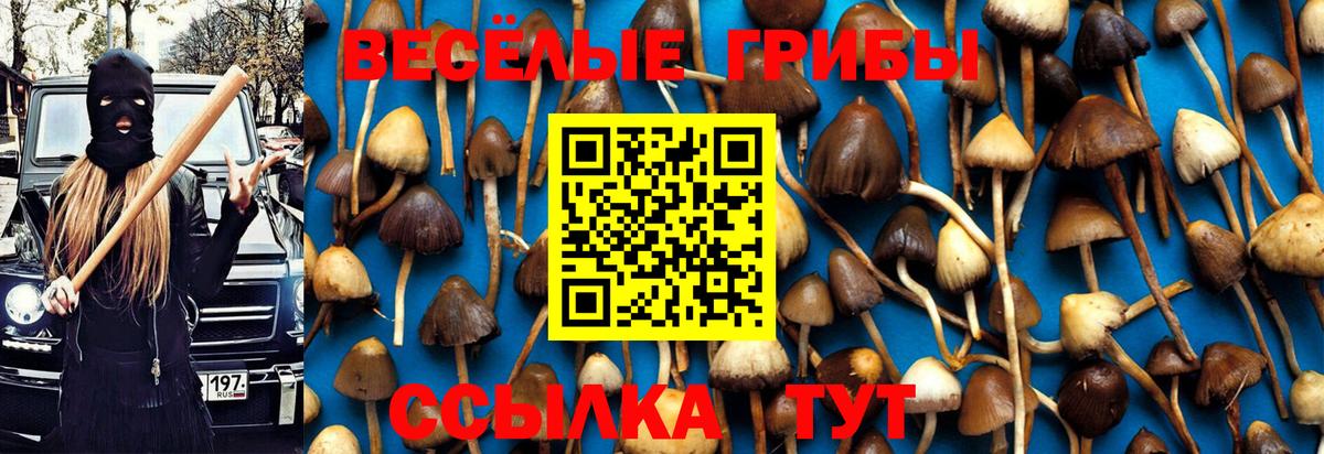 Псилоцибиновые грибы Magic Shrooms Семилуки
